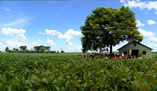 <strong>MOVIE｜モンサントの不自然な食べもの</strong>　世界の遺伝子組み換え食品市場の90％を誇るグローバル企業「モンサント社」の、クリーンなイメージに隠された裏の姿をカメラは追う