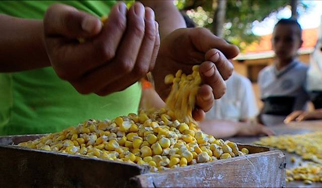 <strong>MOVIE｜モンサントの不自然な食べもの</strong>　 急速に進む経済のグローバル化。劇中に登場する各国の深刻な状況は、経済のグローバル化が進んだ明日の日本の姿かもしれない