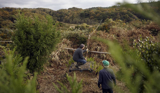 <strong>COOK IT RAW｜クック・イット・ロゥ</strong>　鴨が飛び立つその瞬間が訪れるまで、こうして静かに時を過ごす