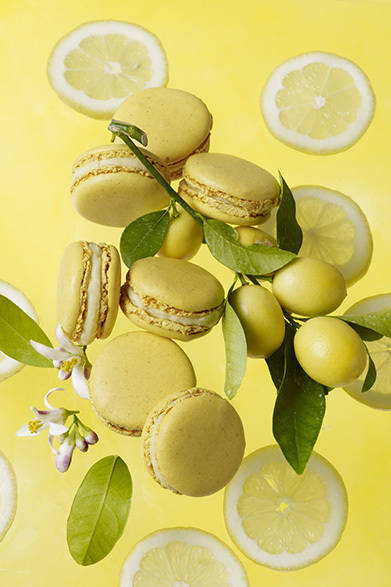<strong>PIERRE HERMÉ PARIS│ピエール・エルメ・パリ</strong>　マカロン アンフィニマン シトロン　1人用：252 円、ギフト：1050円～