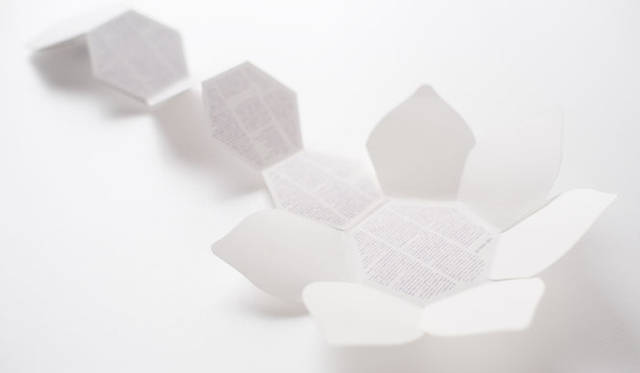 志人・スガダイローによるダブルネーム・アルバム『詩種』は、29面立体特殊パッケージ（永久仕様）2500円（cat#:VSP-0003）