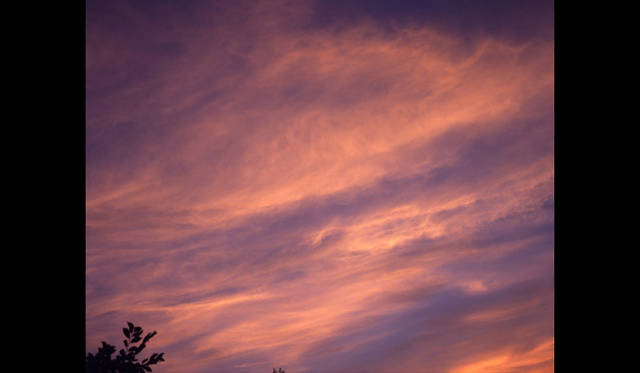 <strong>RAT HOLE GALLERY｜ラットホールギャラリー</strong>　荒木経惟展「センチメンタルな空」