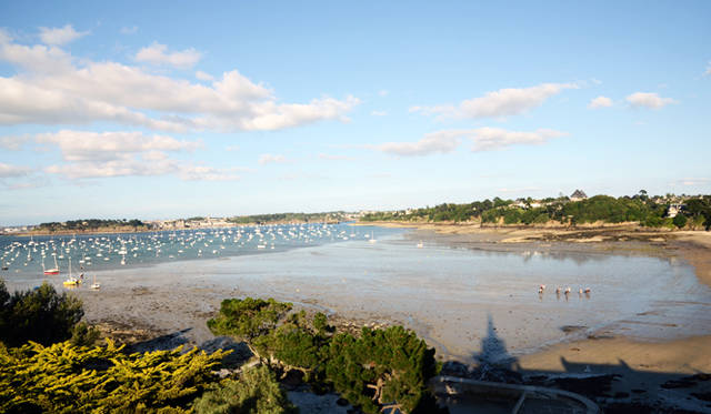 <strong>Renault Koleos BOSE Edition dCi150 4x4｜ルノー コレオス ボーズ エディション dCi150 4x4</strong>