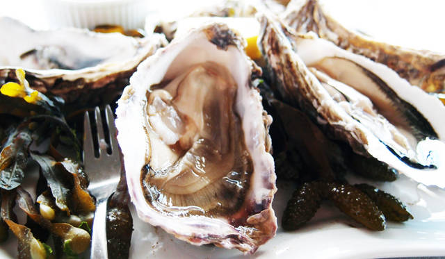 <strong>Renault Koleos BOSE Edition dCi150 4x4｜ルノー コレオス ボーズ エディション dCi150 4x4</strong>