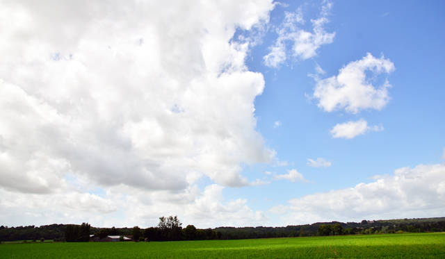 <strong>Renault Koleos BOSE Edition dCi150 4x4｜ルノー コレオス ボーズ エディション dCi150 4x4</strong>