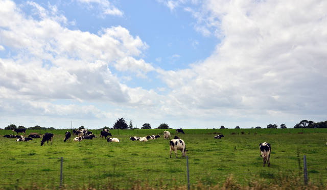 <strong>Renault Koleos BOSE Edition dCi150 4x4｜ルノー コレオス ボーズ エディション dCi150 4x4</strong>