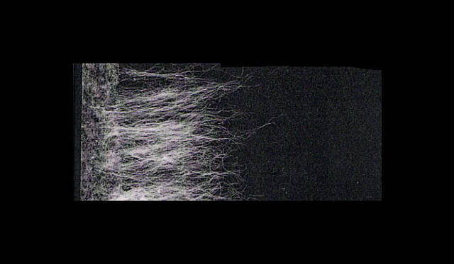 　＜長繊維＞　こちらもミックスされている