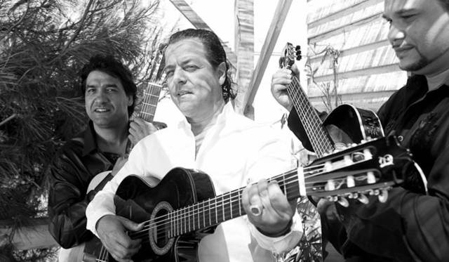 <strong>BLUE NOTE TOKYO｜ブルーノート東京</strong>　＜9月29日(土)～10月2日(火)＞　チコ＆ザ・ジプシーズ