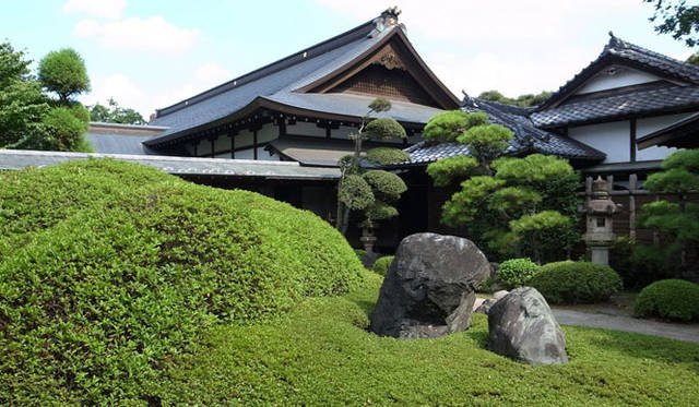 <strong>みどりの触知学＜特別編・2012夏＞</strong>　大書院