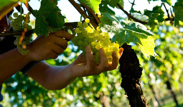 <strong>CASA ZULIANI｜カーサ・ズリアーニ</strong>　