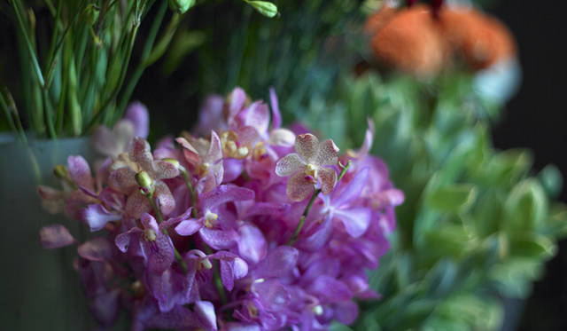 　見た瞬間だけでなく、記憶のなかでも美しく