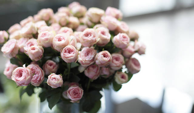 　見た瞬間だけでなく、記憶のなかでも美しく