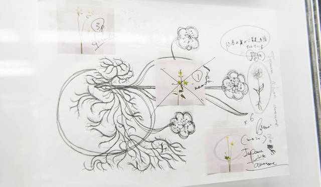 <strong>PERRIER-JOUËT｜ペリエ ジュエ</strong>　東 信氏のデッサン