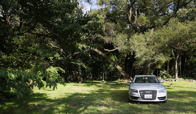 <strong>Audi S8｜アウディ S8</strong>