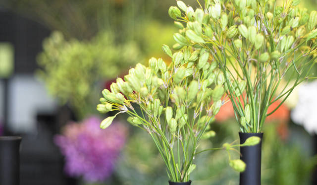 　一番のプライドは、仕事をつづけてきたなかでの成長