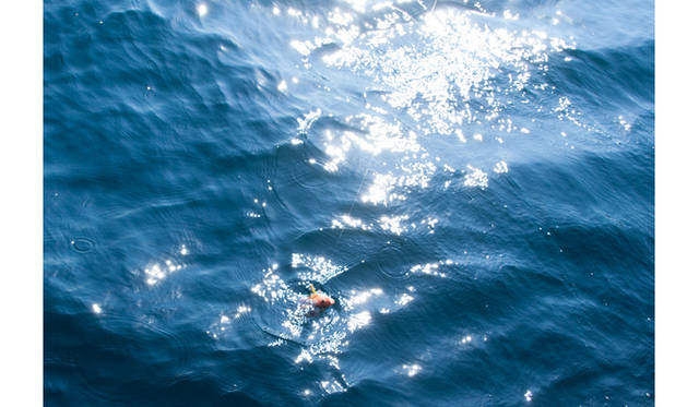 <strong>EVENT│「シブカル祭。2012 ～女子のミックスカルチャー祭～」</strong>　Kazue Kawase