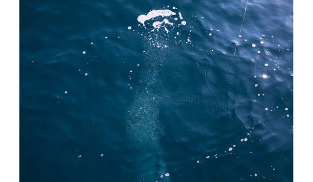 <strong>EVENT│「シブカル祭。2012 ～女子のミックスカルチャー祭～」</strong>　Kazue Kawase