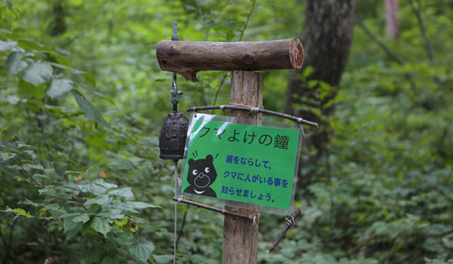<strong>プロフェッショナルと巡る森～岐阜・飛騨地方の自然とアクティビティ～</strong> 敷地内の森にはツキノワグマが生息する