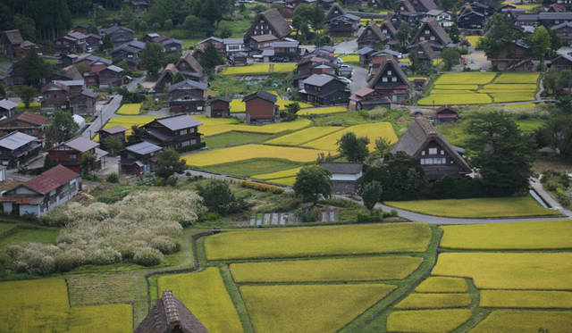 <strong>プロフェッショナルと巡る森～岐阜・飛騨地方の自然とアクティビティ～</strong> 白川郷を一望できる丘、通称「天守閣」からの眺め。以前城があったことからこの名前で呼ばれている