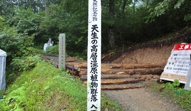 <strong>プロフェッショナルと巡る森～岐阜県の“ウェルネス・ツーリズム”</strong> 駐車場から天生の森に分け入っていく