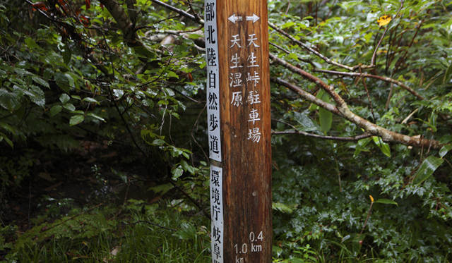 <strong>プロフェッショナルと巡る森～岐阜県の“ウェルネス・ツーリズム”</strong> 10分ほどで旧天生峠跡に到着