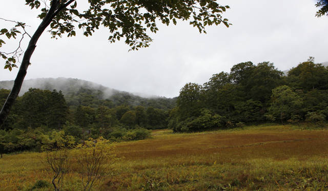 <strong>プロフェッショナルと巡る森～岐阜県の“ウェルネス・ツーリズム”</strong> ここ天生の森の湿原は、大きく分けて3つ。2つの「天生高層湿原」と木平探勝路の先にある「木平湿原」である