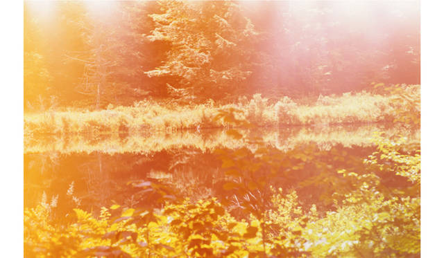 <strong>「EXHIBITION　A」</strong>　Mark  Borthwick　Rape  Me, Dear Nature Escapes Me　edition of 50 /※サイン入り　キャンバス (406x609mm)　3万2000円