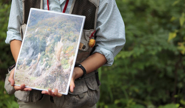  合掌造りの屋根の原材料となるカヤの説明