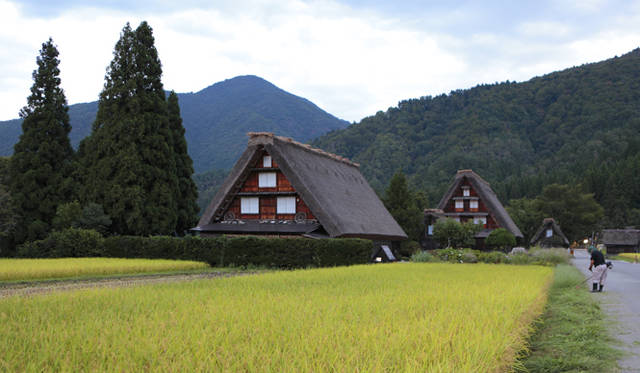  白川郷の村のなかへ。合掌造り家屋の存在感は抜群だ