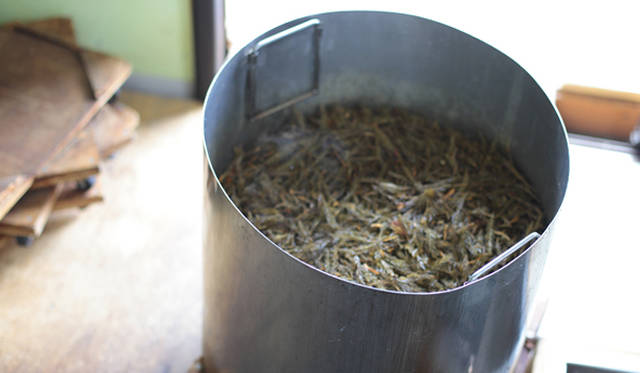  オイルを蒸留・抽出されたヒノキ