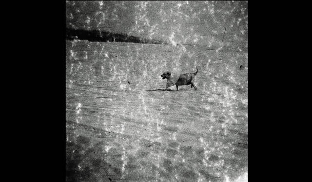 <strong>ART｜特別対談　椎名誠×操上和美</strong>　シリーズ〈陽と骨〉より　1975年