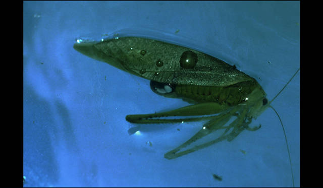 <strong>ART｜特別対談　椎名誠×操上和美</strong>　シリーズ〈陽と骨〉より　1979年