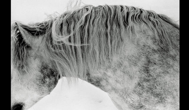 <strong>ART｜特別対談　椎名誠×操上和美</strong>　シリーズ〈NORTHERN〉より　1973年11月
