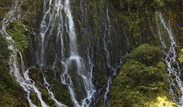 <strong>プロフェッショナルと巡る森～岐阜県の“ウェルネス・ツーリズム”</strong> 森から染み出した水が岩盤を伝う「布引滝」