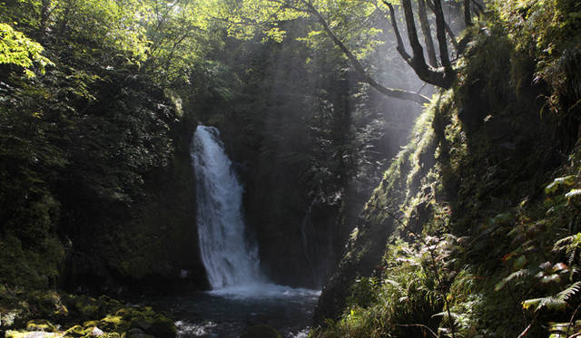 <strong>プロフェッショナルと巡る森～岐阜県の“ウェルネス・ツーリズム”</strong> 豊富な水を落とす横手滝