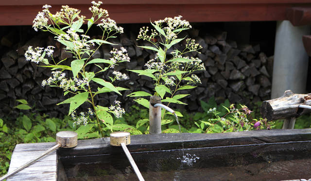 <strong>プロフェッショナルと巡る森～岐阜県の“ウェルネス・ツーリズム”</strong> 岩魚見小屋の水桶。もちろん飲用可のうまい水である