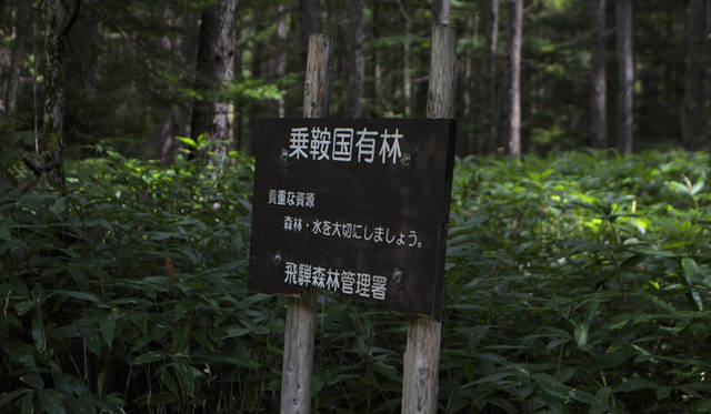 <strong>プロフェッショナルと巡る森～岐阜県の“ウェルネス・ツーリズム”</strong> 五色ヶ原の森は、中部山岳国立公園に属し、乗鞍岳の西北に広がる手つかずの森である