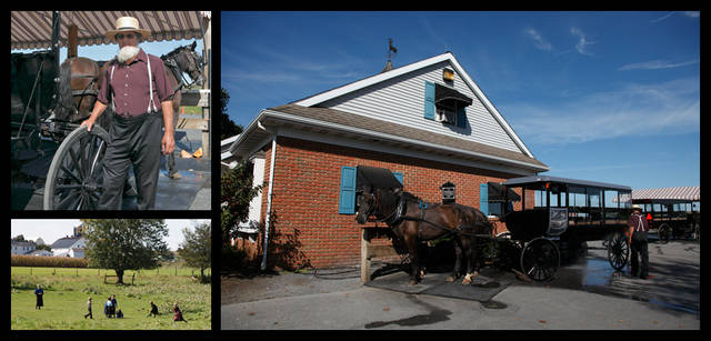 <strong>HAMILTON｜ハミルトン</strong>　<br />ランカスターは大きなアーミッシュ・コミュニティが多いところとしても知られている。アーミッシュとはもともとドイツ系の移民で、ランカスターに住む一派はいまでも電気や自動車を使用せず、馬車に乗って移動している。ハミルトンの紋章にも、馬車のモチーフがあしらわれているのが特徴的。