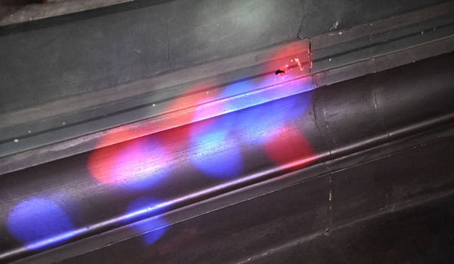 <strong>みどりの触知学＜特別編・2012秋 パリ＞</strong>　ひかり