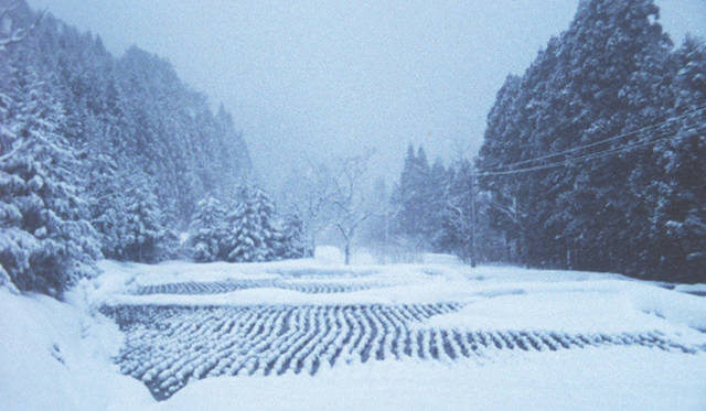 <strong>『阿賀に生きる』</strong>　新潟水俣病という社会的なテーマを根底に据えながらも、そこからはみ出す人間の命の賛歌をまるごと収め、世界中に大きな感動をあたえた