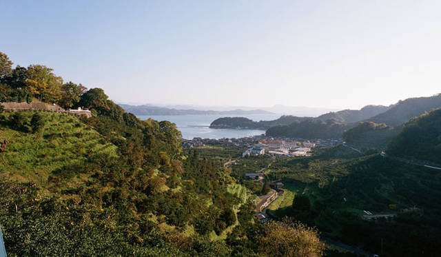 <strong>無茶々園｜むちゃちゃえん</strong>　現在では明浜で80 軒以上のみかん農家が、無茶々園の旗印のもと、環境への負荷が少ないみかん栽培に取り組んでいる