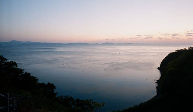 <strong>無茶々園｜むちゃちゃえん</strong>　所属する生産者には、海でチリメンを獲る漁師や真珠の養殖を生業とするひともいる