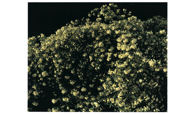 <strong>BOOK｜佐内正史詩集『人に聞いた』</strong>　©sanai masafumi