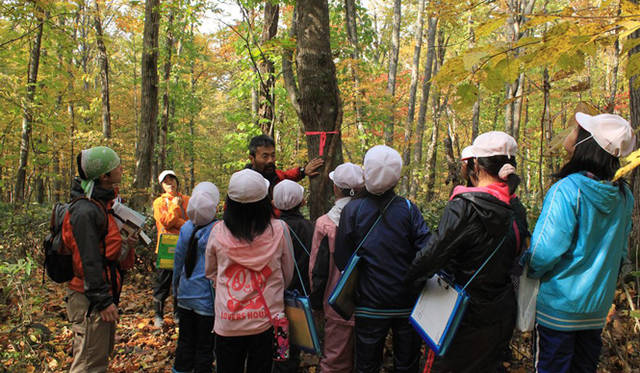 <strong>MERRY GREEN CHRISTMAS 2012｜メリーグリーンクリスマス 2012</strong>｜BE@RBRICKストラップ販売による寄付金は、グリーンサンタ基金を通じて子どもたちへの国産木材製品の寄贈やグリーンサンタの森づくりに役立てられます