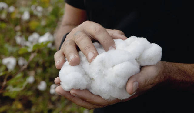 <strong>DIESEL｜U2ボノ夫妻との新プロジェクト「DIESEL + EDUN」</strong>