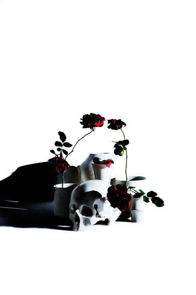 <strong>さる山</strong>　濱中史朗展“alternative white”