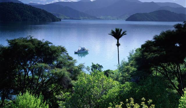 <strong>Cloudy Bay｜クラウディー ベイ</strong>　冷涼な気候ながらニュージーランド随一の日照時間を誇る、南島の北端、マールボロのワイラウ・ヴァレーにクラウディー ベイの故郷がある