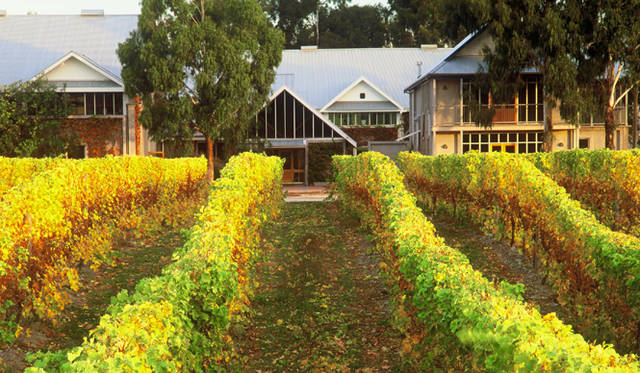 　土壌は140ヘクタールの自社所有畑と、長期契約を結んでいる5つの栽培農家からなる