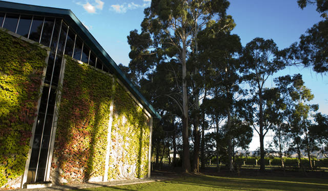 　畑とおなじワイラウ・ヴァレーにあるクラウディー ベイのワイナリー