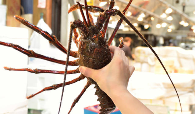 <strong>Cloudy Bay｜クラウディー ベイ</strong>　身近にフォラージュを楽しむなら、新鮮な魚介類が待っている市場に出かけてみてはどうだろう（写真は築地市場）